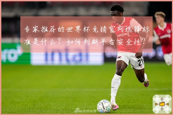专家推荐的世界杯竞猜官网选择标准是什么?如何判断平台安全性?