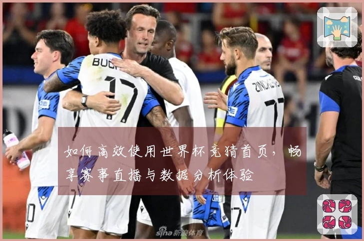 如何高效使用世界杯竞猜首页，畅享赛事直播与数据分析体验
