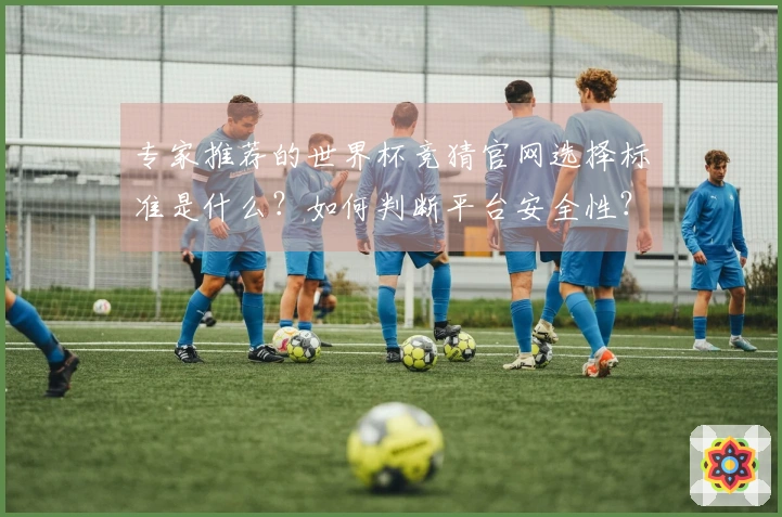 专家推荐的世界杯竞猜官网选择标准是什么？如何判断平台安全性？