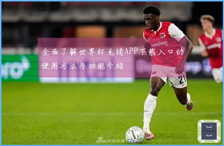 全面了解世界杯竞猜APP下载入口的使用方法与功能介绍