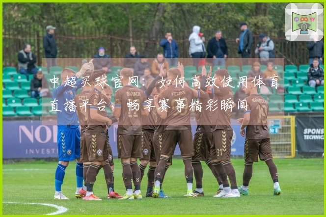 中超买球官网：如何高效使用体育直播平台，畅享赛事精彩瞬间