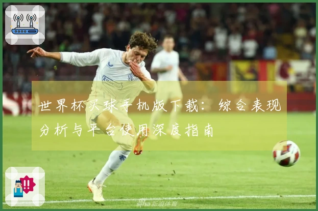 世界杯买球手机版下载：综合表现分析与平台使用深度指南