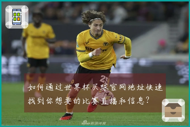 如何通过世界杯买球官网地址快速找到你想要的比赛直播和信息？